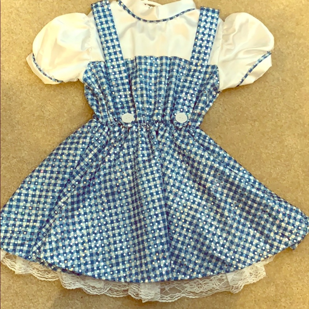 Wizard of Oz Dorothy Costume